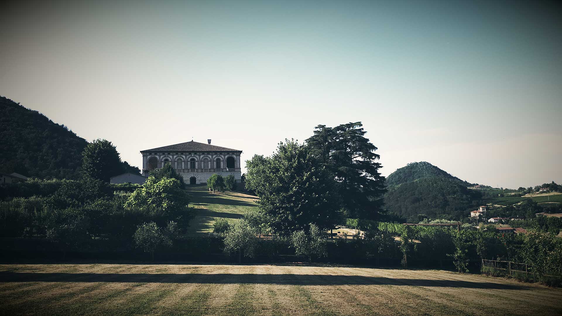 Villa dei Vescovi vista da Villa Pollini